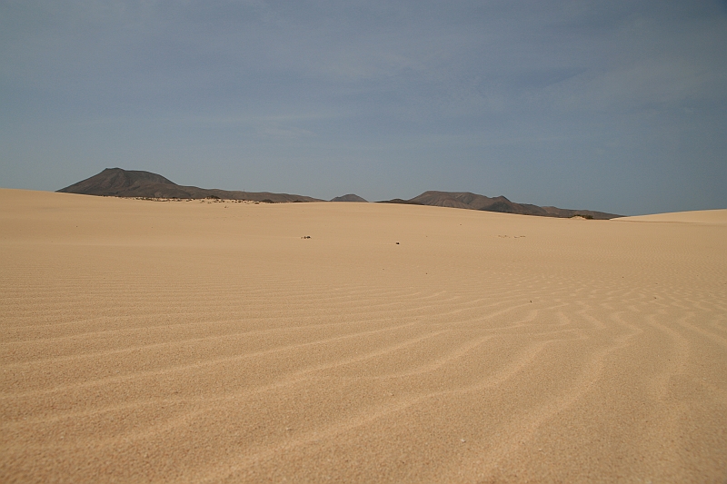Kanary_2010 088